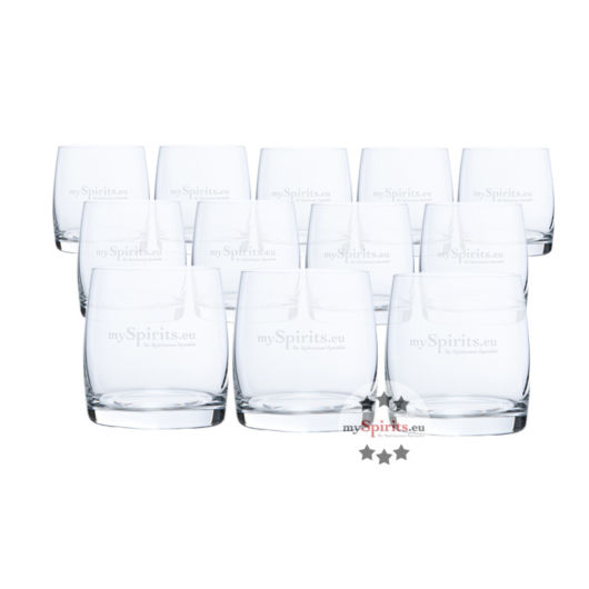 12 x mySpirits Gin und Whisky Tumbler Glas / je Stück ca. 290 ml / Ø ca. 7cm / H: ca. 8,5 cm