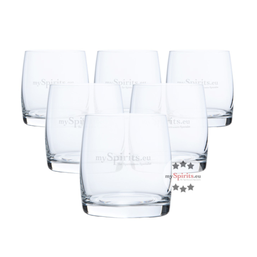 6 x mySpirits Gin und Whisky Tumbler Glas / je Stück ca. 290 ml / Ø ca. 7cm / H: ca. 8,5 cm