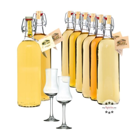 Prinz alle Alten Sorten - Vorteilspaket 8 x 1,0 L Flaschen + 2 mySpirits Schnapskelche / 41 % vol. 