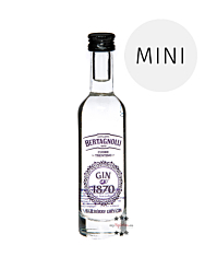 Bertagnolli Gin 1870 Blueberry Dry Gin Mini / 40 % vol / 0,05 Liter-Flasche 