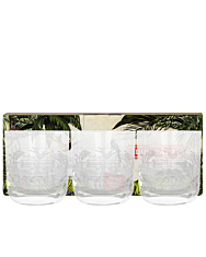 Don Papa Glas Set mit 3 Tumblern / je ca. 350 ml / Ø ca. 7,8 cm / H: ca. 10 cm / 3 Gläser in Dekobox