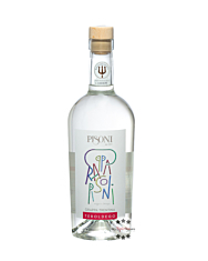 Pisoni Grappa Trentina Teroldego / 43 % Vol. / 0,7 Liter-Flasche