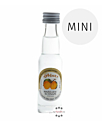 Prinz: Marillen-Schnaps / 40% Vol. / 0,02 Liter - Flasche