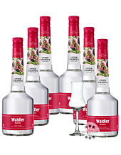 6 x Unterthurner Waldler Original Kombi / 39 % Vol. / 6 x 0,7 Liter-Flasche + 1 x gratis mySpirits Schnapskelch 