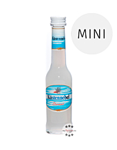 Küstennebel Sternanis Likör Mini von Waldemar Behn / 21,8 % Vol. / 0,04 Liter-Flasche