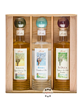 Berta: Primavene Grappa Box mit 6 Flaschen / 40 % Vol. / 6 x 0,2 Liter-Flasche in Holzkiste