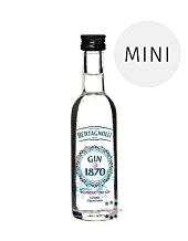 Bertagnolli Gin 1870 Raspberry Dry Gin Mini / 40 % vol / 0,05 Liter-Flasche