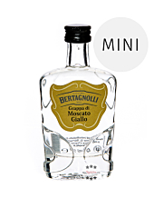 Bertagnolli Grappa di Moscato Giallo Mini / 42 % Vol. / 0,05 Liter-Flasche