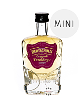Bertagnolli Grappa di Teroldego Barrique Mini / 42 % vol / 0,05 Liter-Flasche