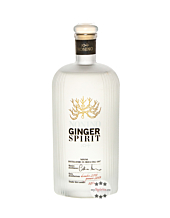 Nonino Ginger Spirit / 50 % Vol. / 0,5 Liter-Flasche