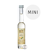 Prinz: Alte Marille Miniatur / 41 % Vol. / 0,04 Liter-Flasche