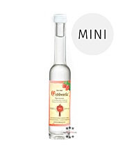 Prinz: Erdbeerla Miniatur / 34 % Vol. / 0,04 Liter-Flasche