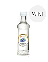 Prinz: Heidelbeer Schnaps Miniatur / 40% Vol. / 0,04 Liter-Flasche