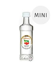 Prinz: Kirschen-Schnaps Miniatur / 40% Vol. / 0,04 Liter – Flasche