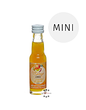 Prinz Mango-Limes Miniatur / 16 % Vol. / 0,02 Liter-Flasche