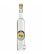 Prinz Quitten-Schnaps / 40 % Vol. / 0,5 Liter-Flasche