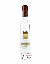 Villa de Varda Grappa Moscato Pensiero Trentino – Klarer Grappa aus Moscato-Trestern in kleiner Flasche / 40 % Vol. / 0,2 Liter-Flasche