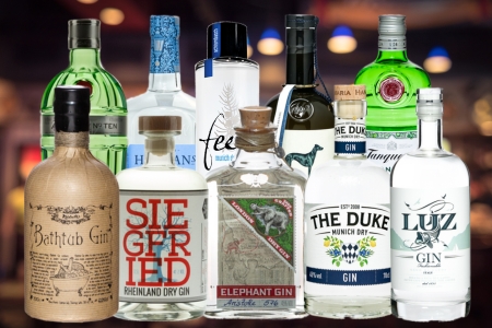 Auf diese Gins dürfen Sie sich während des Tastings freuen