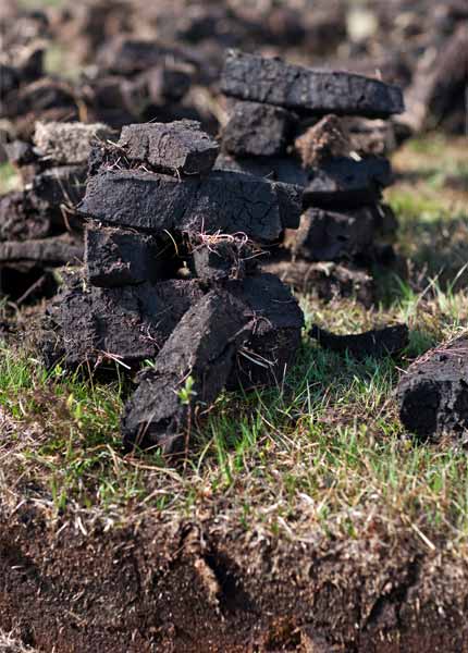 Islay Whisky ist besonders torfig